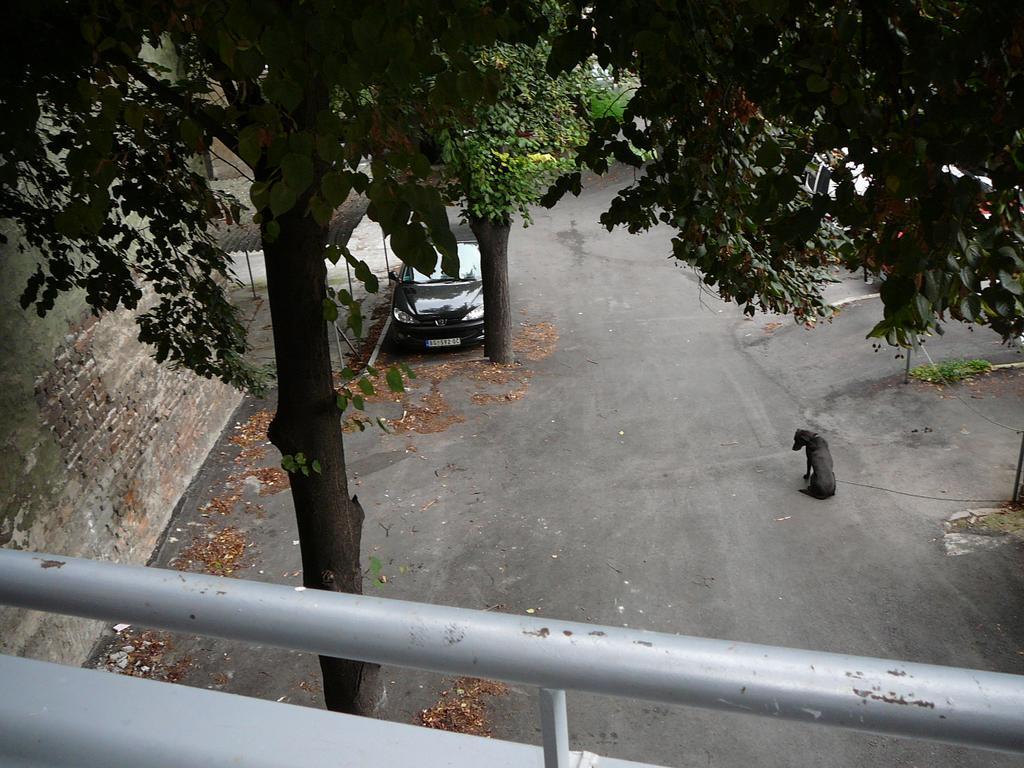 Balkan-Inn Skadarlija 2 Apartment Belgrad Zewnętrze zdjęcie